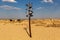 Ukraine. kherson. August 19, 2020. Signpost with the names of the wastelands in the dunes