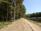 Ukraine, Khmilnyk, forest field road along the lake