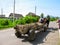 Ukraine, Khust - May 1, 2018: A cart pulled by two horses rides on a paved rural road in Khust. Simple modern life of Ukrainian v