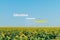 Ukraine means freedom background of sunflowers and on the blue sky