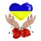 Ukraine for peace concept.Heart of Ukraine flag colors in hands and with red flowers poppies.vector illustration