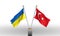 Ukraine and Turkey flags