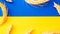 Ukraine wheat grain background. Ukrainian symbol with wheat grain ear isolated on yellow blue flag banner. Flat lay