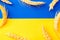 Ukraine wheat grain background. Ukrainian symbol with wheat grain ear isolated on yellow blue flag banner. Flat lay
