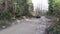 Ukraine, Yaremche - November 20, 2019: a gray pickup truck rides on a gravel road in the autumn forest with a Christmas tree in th