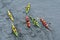 Ukraine, Zaporizhzhya, Dnipro river, August 24, 2016 - small group kayaks moves along shiny surface of the water