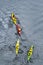 Ukraine, Zaporizhzhya, Dnipro river, August 24, 2016 - small group kayaks moves along the shiny surface of the water