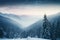 In Ukraines Carpathian mountains, countless fir trees grace the wintery landscape