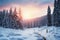 The Ukraines Carpathian winter boasts an abundance of majestic fir trees