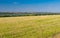 Ukrainian agricultural landscape with mowed crop