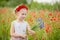 Ukrainian Beautiful girl in vyshivanka with wreath of flowers in a field of poppies and wheat. outdoor portrait in poppies. girl