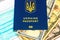 Ukrainian biometric COVID-19 vaccination passport, protective mask amd money on white