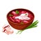 Ukrainian borscht with green onion and with lard. Borscht with lard