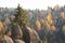 Ukrainian Carpathian Mountains in the autumn, stone rock