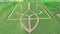 Ukrainian coat of arms Trident in the middle of a green field