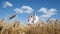 A Ukrainian family in the middle of a wheat field, the will to win the war.