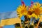 Ukrainian flag with flowers,blue and yellow flag with a bouquet of flowers in the blue sky, Victory of Ukraine