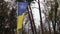 Ukrainian flag waving on the masts in a forest park. The wind blows and the flag flies in the air. In the background beautiful