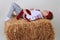 Ukrainian girl in national dress and jeans sleeping in the hay.