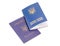 Ukrainian internal passport and international passport