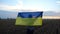 Ukrainian lady walks with national blue-yellow banner on barley meadow at sunrise. Woman going with raised flag of