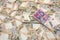 Ukrainian Money backgrounds.   500  banknotes. Hryvnia UAH. Top view