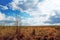 Ukrainian native prairies landscape.