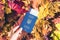 Ukrainian passport with boarding pass in the woman hand maple leaves background in the autumn forest. Travel Concept. Top view.