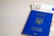 Ukrainian passport for traveling abroad and euro bills with copy space. Travel document with cash money lie on table. Travel