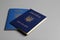 Ukrainian passports. International relationships