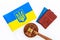 Ukrainian refugees concept. Flag with passport and gavel