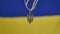 Ukrainian state emblem of Trident and flag