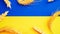 Ukrainian wheat grain symbol with rye ear isolated on blue yellow flag. Yellow blue banner background, flat lay, copy