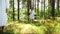 Ukrainian woman in embroidered dress in the forest gathering herbs in basket