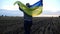 Ukrainian woman running with raised flag Ukraine above her head on wheat field at sunset. Lady jogging with national