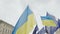 Ukrainians protest on the streets against the war. flags Ukraine, Slow motion footage