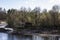 Ukranian landscape in the forest. Pine forest with a river name Psel in city Sumy. Pine trees on a river bank in Ukraine.