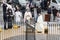 Ukranian people pray on the street in front of the St Andrew`s church in Kyiv, Ukraine