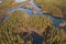 Uksinskaya Ozovaya ridge or Uksinsky oz   Lake, a natural monument to glacial landscapes in Karelia, top view