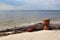 Ukulele and ethnic drum on a sunny beach.