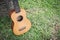 Ukulele on grass field. Acoustic music instrument.