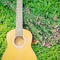 Ukulele guitar on grass with flower