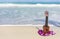 Ukulele and lei flower necklace on Hawaii beach. Hawaiian travel icons for tourism vacation background