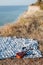 Ukulele and sunglasses lying on blanked on rocky coast