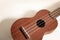 Ukulele wood with isolated background, front view, with copy space