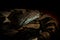 Ular Sanca or Malayopython reticulatus Snake