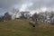 Uley long barrow 3,500 BC | Cotswold-Severn