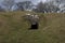 Uley long barrow 3,500 BC | Cotswold-Severn