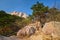 Ulsanbawi rock in Seoraksan National Park, South Korea