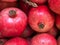 Ultra close up of Pomegranates